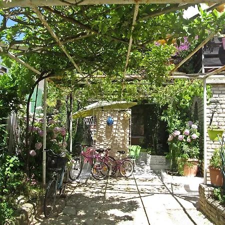 Zadnikar